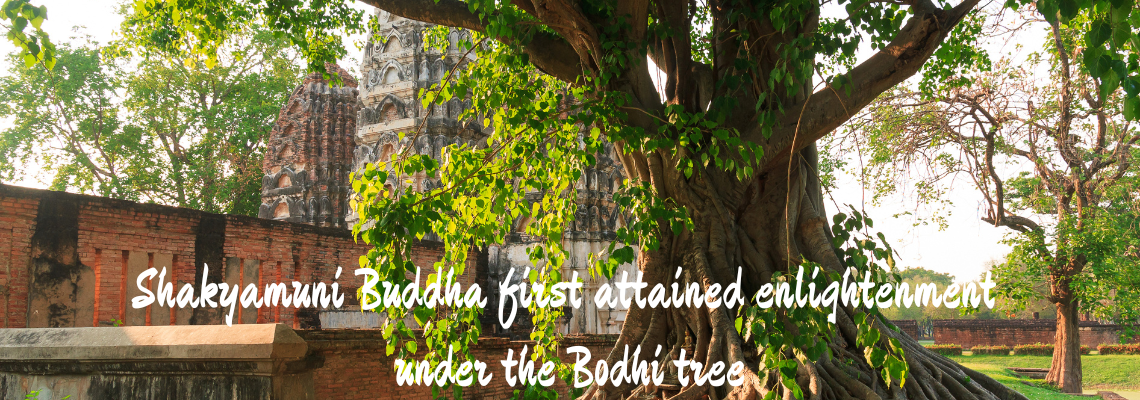 Shakyamuni Buddha first attained enlightenment under the Bodhi tree