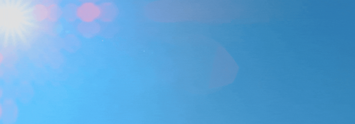 White dove flying up into the sunny blue sky