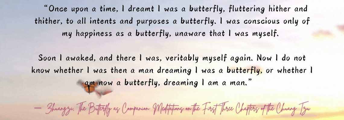 Zhuangzi's butterfly